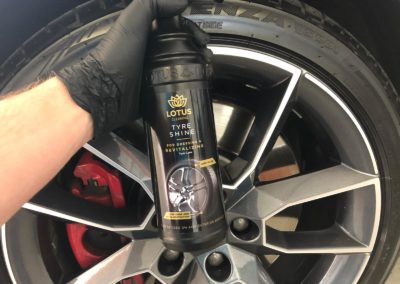 Škoda Octavia RS - detailing